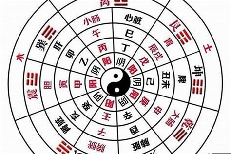 全陰八字|全陰八字的人如何找到真愛